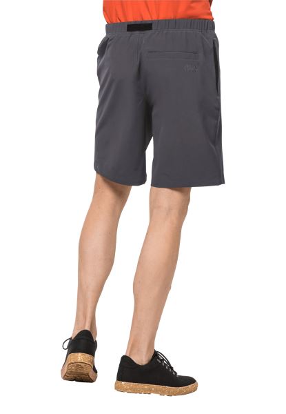 Originele Zomer Lifestyle Shorts M Jack Wolfskin Asfalt
