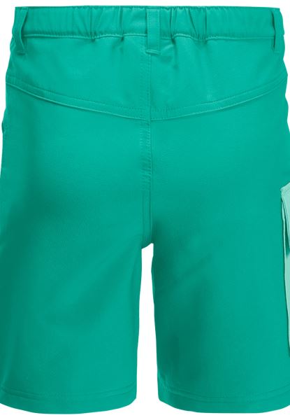 Diep Mint Jack Wolfskin Collectie Active Shorts K