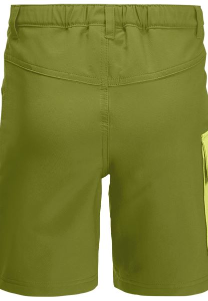 Jack Wolfskin Actieve Shorts K Collectie Groene Thee